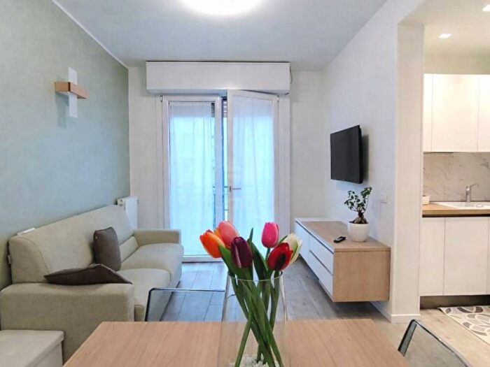 Appartamento bilocale in affitto in Via Alberto Mario, Amendola Buonarroti, Milano