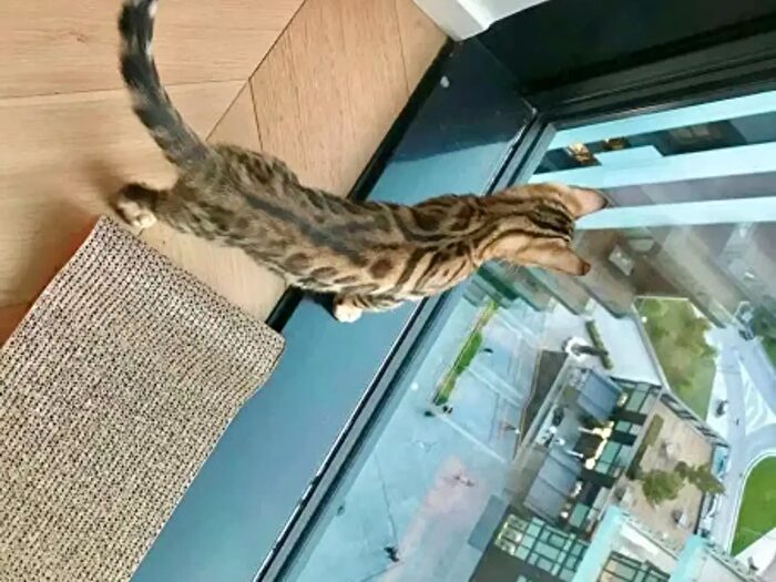 Appartamento trilocale in vendita in Viale della Liberazione, Milano