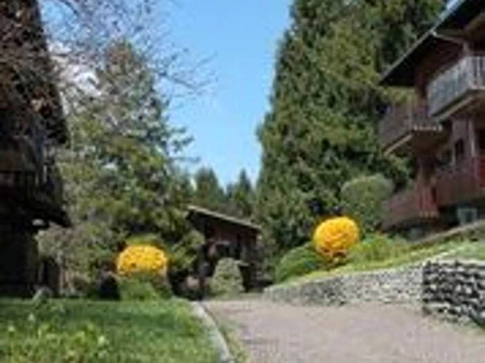 Appartamento bilocale in affitto in Via E De Amicis, Cassina Valsassina