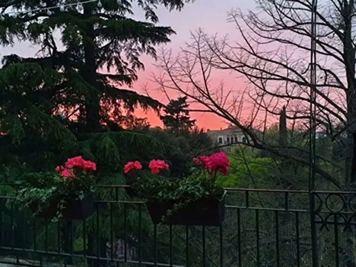 Appartamento bilocale in affitto in Via Antonio Nibby, Roma