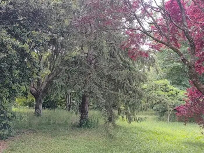 Casa con 6 locali in vendita in Località Valle Bisogna, Sorano