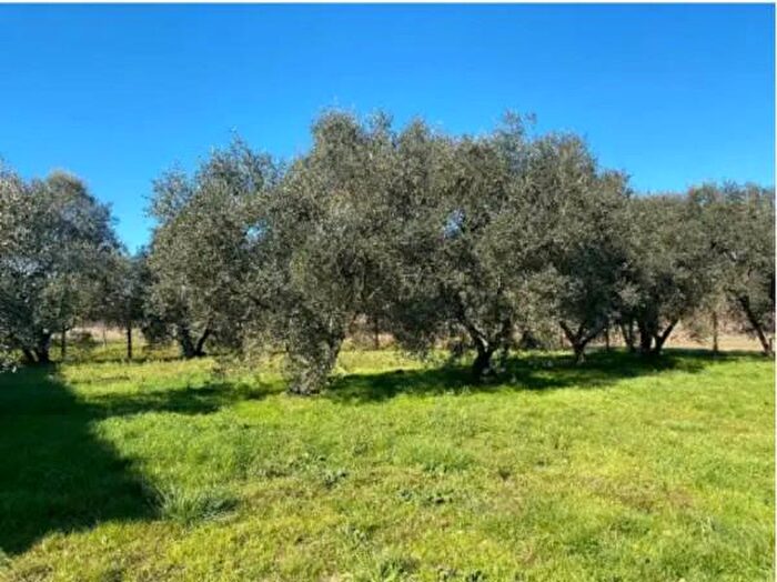 Casa con 6 locali in vendita in Via di Narduccio Fucecchio, Fucecchio
