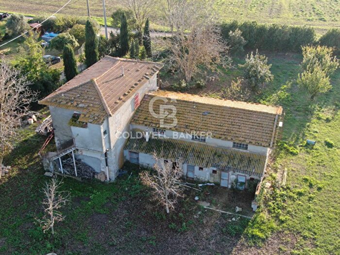 Casa con 5 locali in vendita in Località Selvicciola Snc, Canino