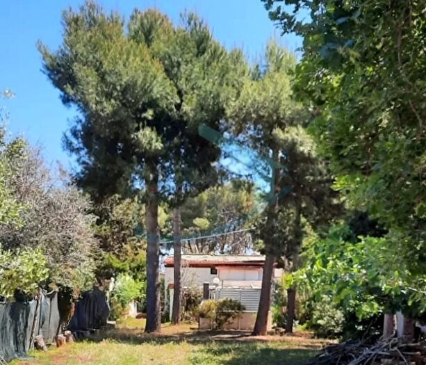 Casa con 7 locali in vendita in Salve