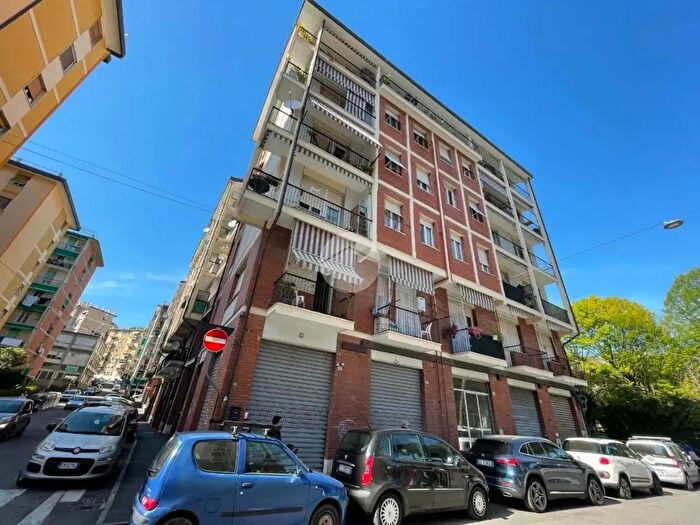 Appartamento quadrilocale in affitto in Via Vincenzo Bellini, La Spezia