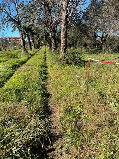 Casa quadrilocale in vendita in Sarzana