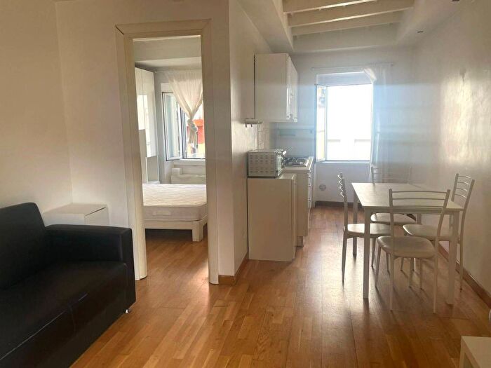 Appartamento bilocale in affitto in Via Luigi Canonica, Arena, Milano