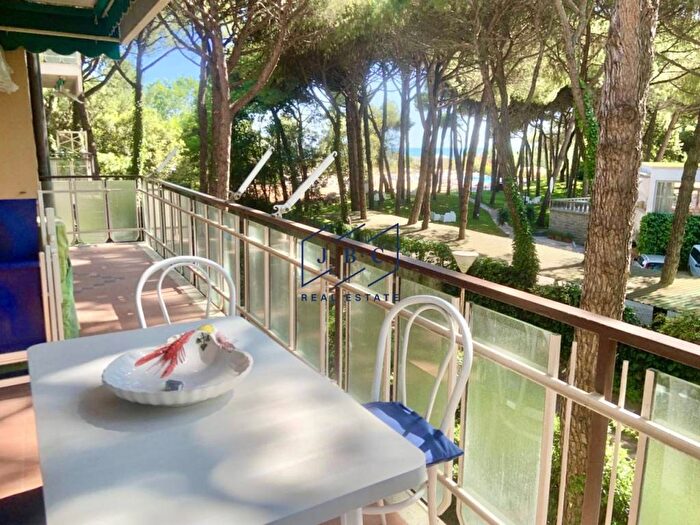 Appartamento bilocale in affitto in Viale Oriente, Pineta, Jesolo