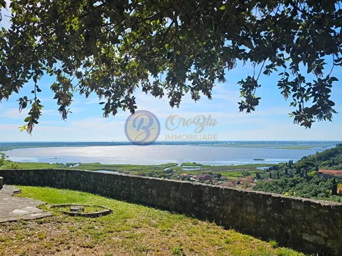 Casa con 10 locali in vendita in Massarosa