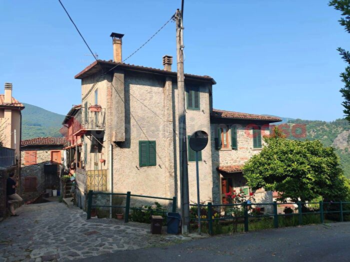 Casa quadrilocale in vendita in Via del Bosco, San Romano In Garfagnana
