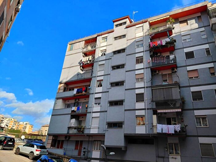 Appartamento bilocale in affitto in Via Domenico di Gravina, Stella Materdei, Napoli