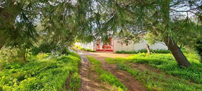 Casa con 5 locali in vendita in Via Errante Vecchia, Castelvetrano