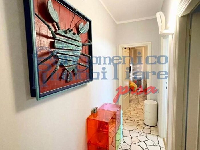 Appartamento trilocale in affitto in Via dei Ginepri, Tirrenia, Pisa