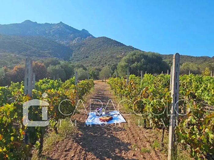Casa con 5 locali in vendita in Olbia