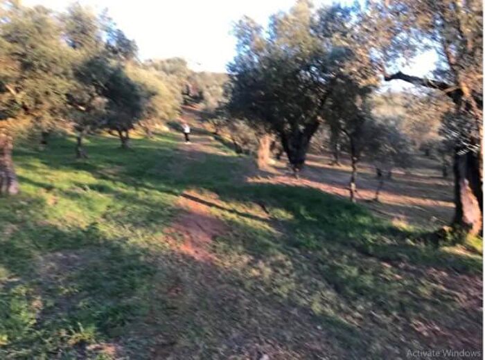 Appartamento con 6 locali in vendita in Via Araietta, Monte San Giovanni Campano