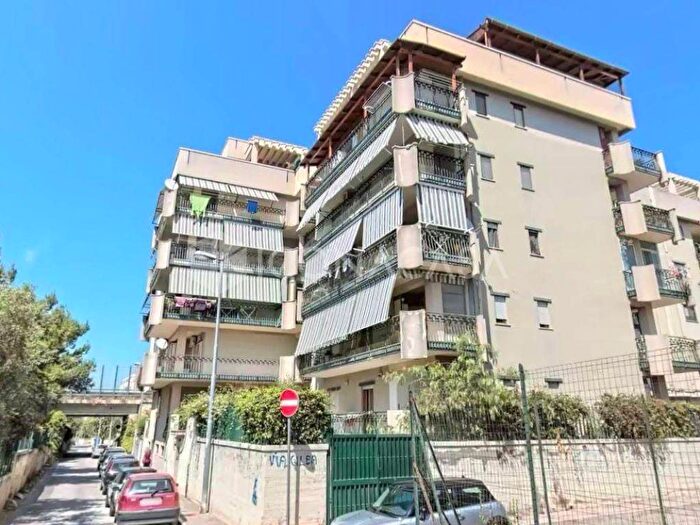 Appartamento trilocale in affitto in Via Monte dAlba, Trani