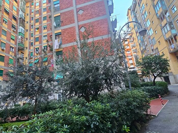 Appartamento quadrilocale in affitto in Via Filippo Meda, Roma