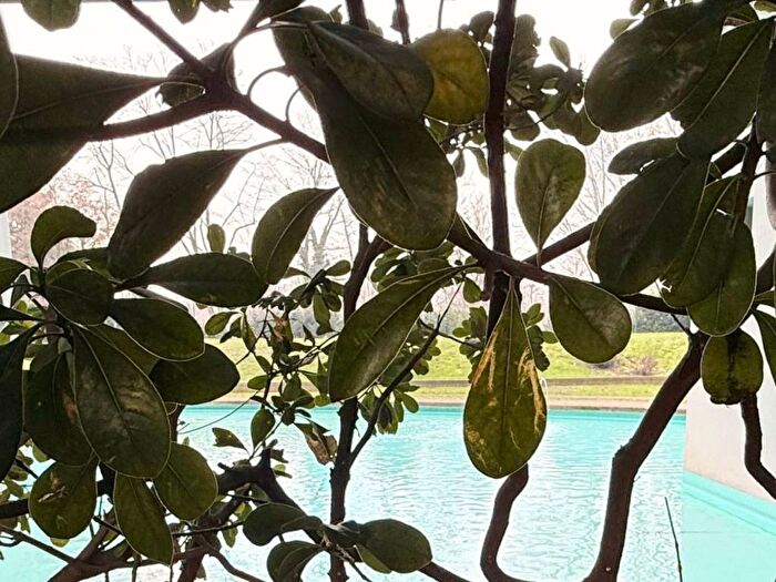 Appartamento con 5 locali in affitto in Via Fernando Santi, Tre Castelli Faenza, Milano