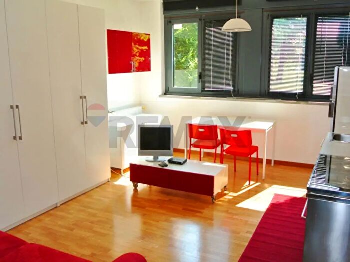 Appartamento monolocale in affitto in Via Cassanese, Segrate