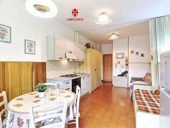 Appartamento monolocale in affitto in Via Valle DAosta, Mazzanta, Rosignano Marittimo