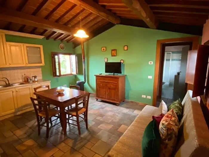 Appartamento bilocale in affitto in Capraia E Limite