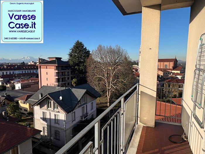Appartamento bilocale in affitto in Viale Vittoria, Fagnano Olona