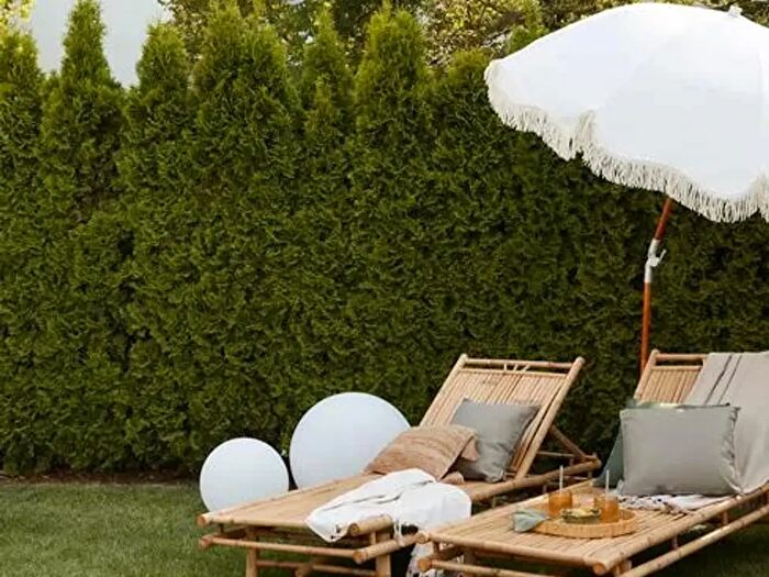 Appartamento trilocale in vendita in Via Provenza, Padova