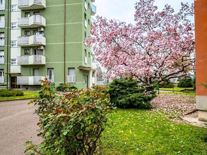 Appartamento monolocale in affitto in Viale Ungheria, Viale Ungheria Mecenate, Milano