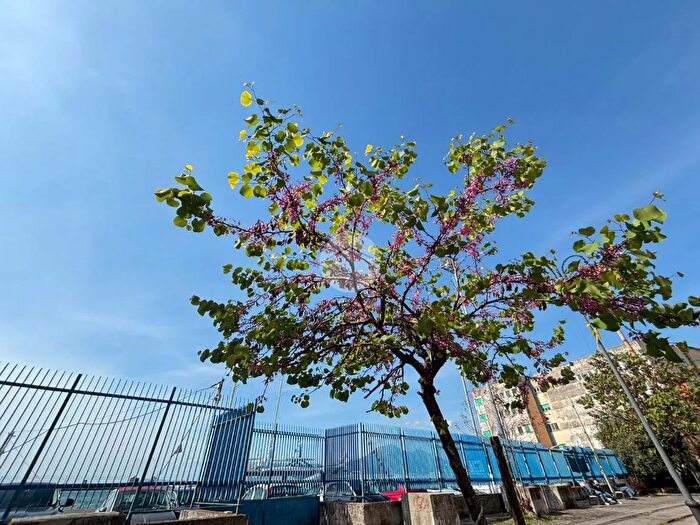 Appartamento monolocale in vendita in Via Giuseppe Bonito, Castellammare Di Stabia