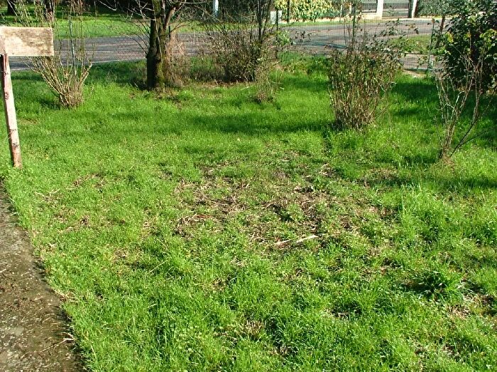 Casa in vendita in Via Bastiglia Tramuschio Mirandola Unione Comuni Modenesi Area Nord Modena EmiliaRomagna Italia, Mirandola