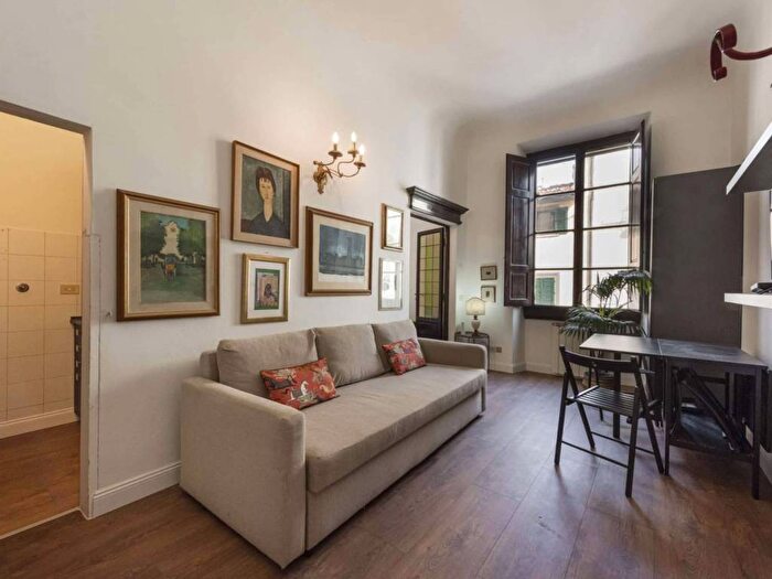 Appartamento bilocale in affitto in Borgo Ognissanti, Borgo Ognissanti Il Prato, Firenze