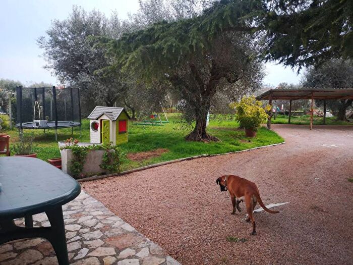 Appartamento monolocale in affitto in Via Dei Salici, Montalto di Castro