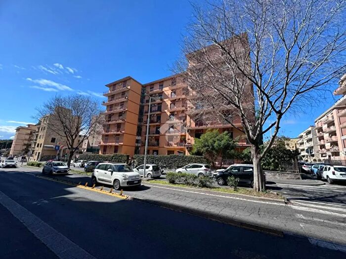 Appartamento quadrilocale in vendita in Via Milo, Catania