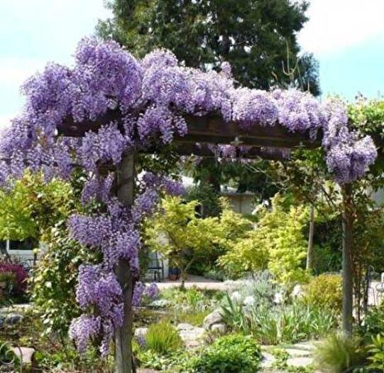 Casa con 6 locali in vendita in Reggio Emilia