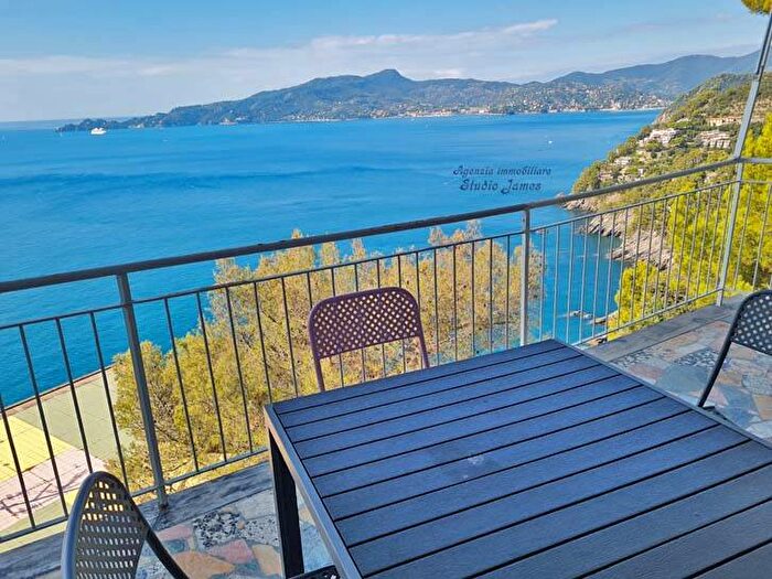 Appartamento quadrilocale in affitto in Località Tigullio Rocks, Bacezza Le Grazie SantAndrea di Rovereto, Chiavari