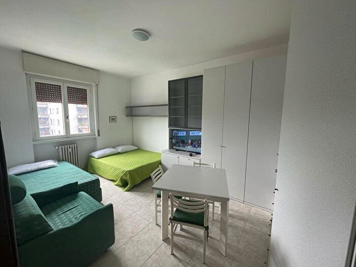 Appartamento monolocale in affitto in Via Ernesto Canesi, Amati Stadio, Monza