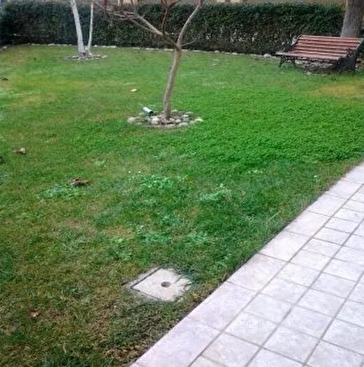 Appartamento in vendita in Citerna