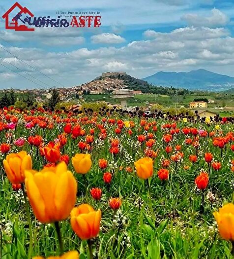 Casa con 6 locali in vendita in Castel Lagopesole, Avigliano