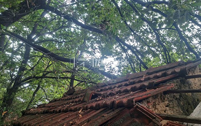 Casa monolocale in vendita in Strada Tasciaire, Sanremo