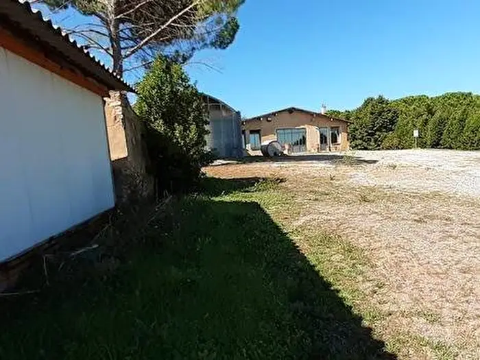Case in Vendita e in Affitto - 1