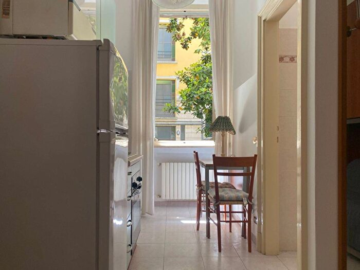 Appartamento monolocale in affitto in Piazza Isaia Ascoli Graziadio, Città Studi, Milano