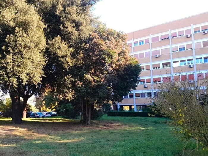 Appartamento quadrilocale in affitto in Roma