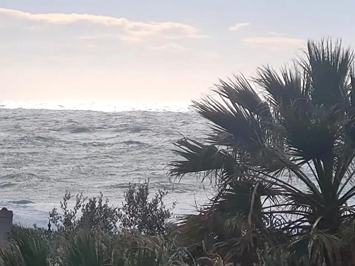 Appartamento quadrilocale in affitto in Livorno