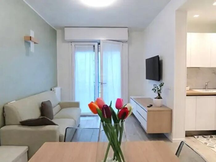 Appartamento bilocale in affitto in Via Alberto Mario, Milano