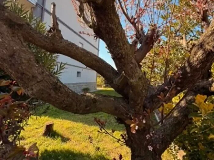 Appartamento con 5 locali in vendita in Sassuolo