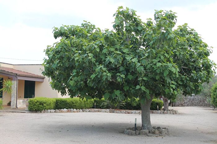 Casa con 8 locali in vendita in Via per Castrignano, Corigliano DOtranto