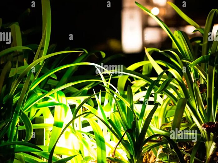 Appartamento quadrilocale in vendita in Via Enrico Toti, Campodarsego