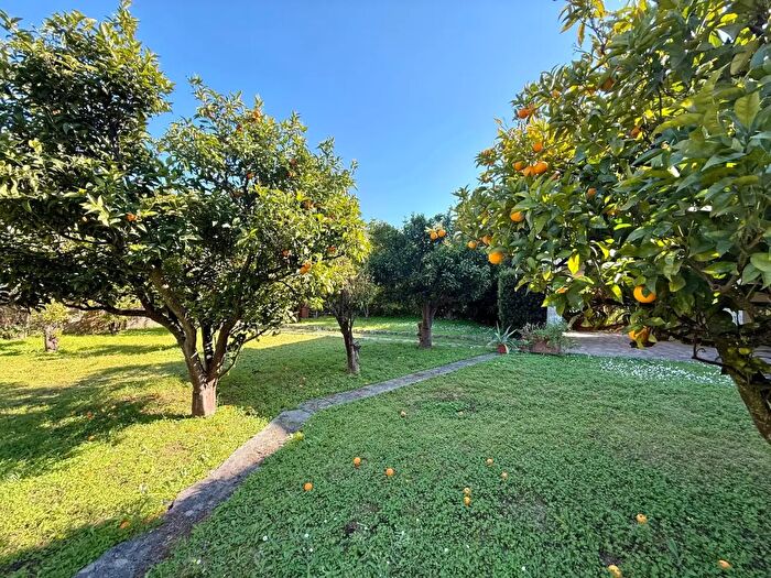 Casa con 10 locali in vendita in Monte Argentario