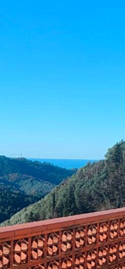 Casa con 10 locali in vendita in Camaiore