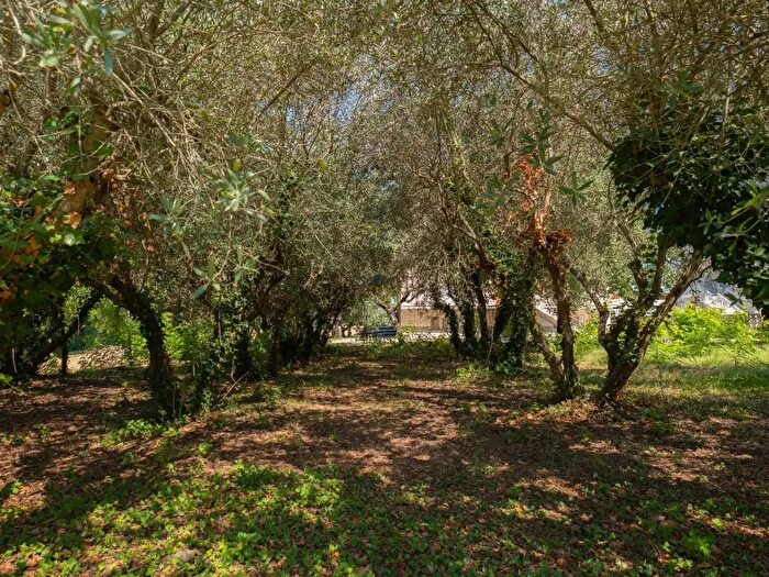 Casa con 9 locali in vendita in Via Cesanense, Monte Porzio